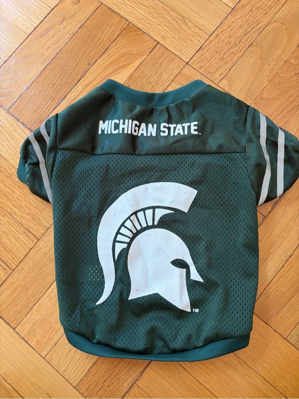 Michigan State University Spartans Dog Green Team Jersey Shirt!